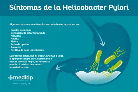 Helicobacter Pylori S Ntomas Tratamiento Y Causas Tratament