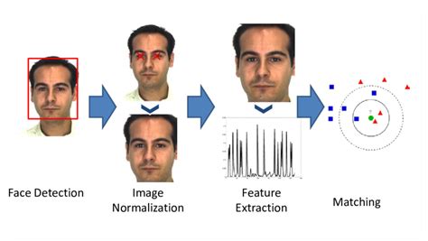 Major Steps In Automatic Face Recognition Download Scientific Diagram