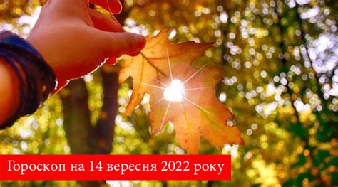Гороскоп на 14 вересня: що сьогодні чекає на Рака, Лева та інші знаки ...