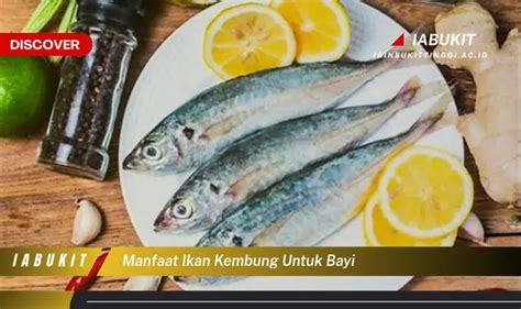 Temukan 7 Manfaat Ikan Kembung Untuk Bayi Yang Jarang Diketahui Discover