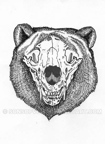 Bear Skull Drawing at PaintingValley.com | Explore collection of Bear Skull Drawing