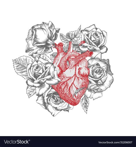 Hearts With Ribbons And Roses Drawings