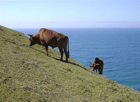 Hole in the Wall Hiking Trail | Find Your Perfect Lodging, Self ...