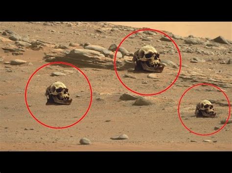 Nasa Mars Live Footages By Perseverance Rover Mars New K Video