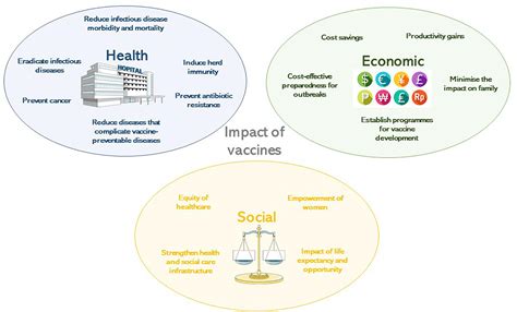 Frontiers Impact Of Vaccines Health Economic And Social Perspectives