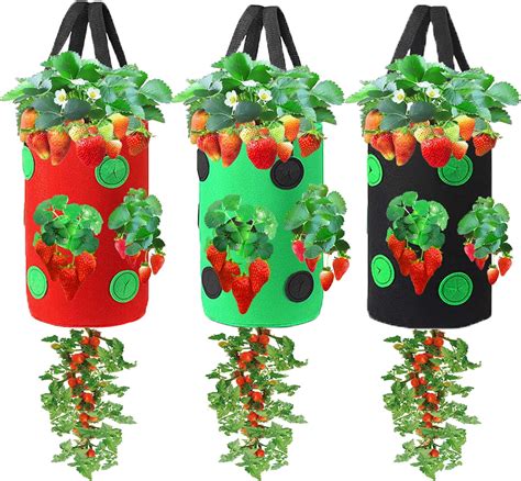 Amazon Miewslan 3 Pieces Upside Down Tomato Planter 3 Gallons