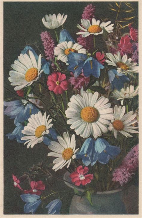 Vintage Fleurs Des Champs Flowers Thor E Gyger Collectable Postcard