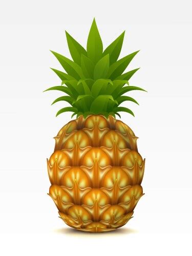 Pineapple Vector Images Over 54 000