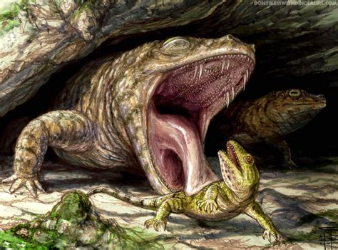 Carboniferous Amphibians