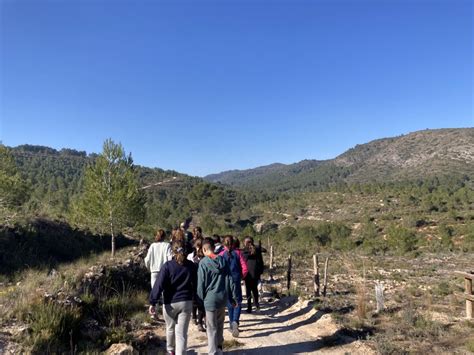 Dia de larbre 5é i 6é CEIP ISABEL LA CATÓLICA