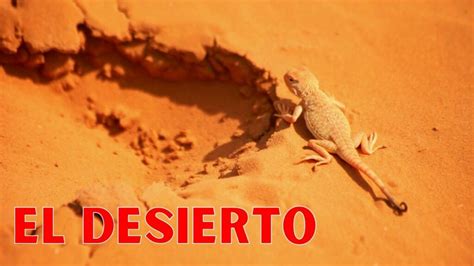 Descubre las fascinantes características del ecosistema desierto