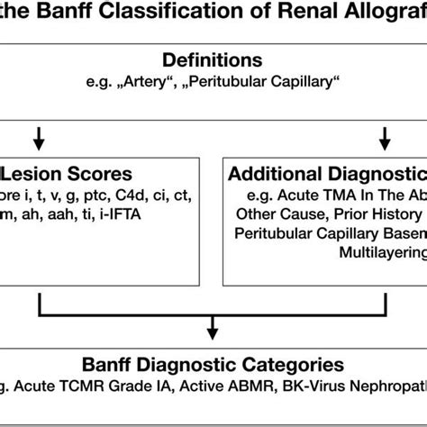 Pdf A 2018 Reference Guide To The Banff Classification Of Renal Allograft Pathology