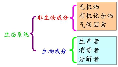 科学网—生态系统之结构及其调节 王从彦的博文