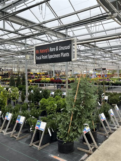 Natorps Nursery Outlet Lawn And Garden Retailer