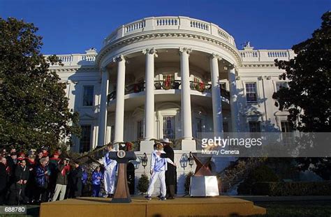 Us Bush Torch Photos And Premium High Res Pictures Getty Images