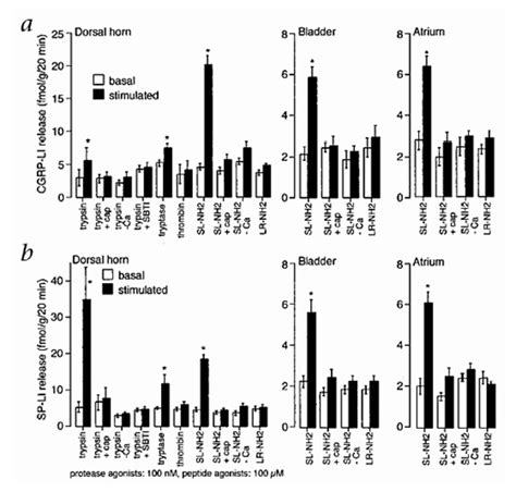 Par2 Mediated Release Of Cgrp Li A And Sp Li B From Superfused