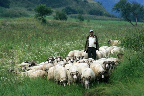 Transylvanian Highlands Descoper Eco Rom Nia