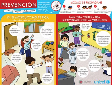 Prevención del Zika Dengue Chikungunya Secretaría de Educación