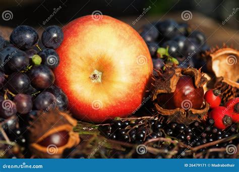 Arrangement Of Autumnal Fruits Stock Image Image Of Table Harvest