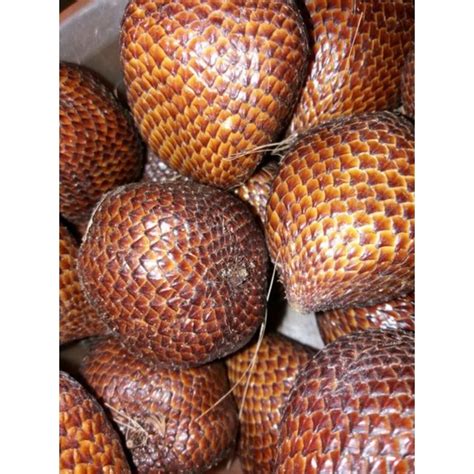 Jual Buah Salak Pondoh Manis Shopee Indonesia