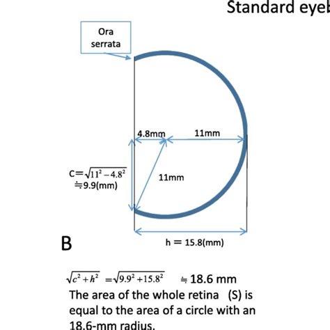 Geometric formula to calculate the curved surface area of a spherical... | Download Scientific ...