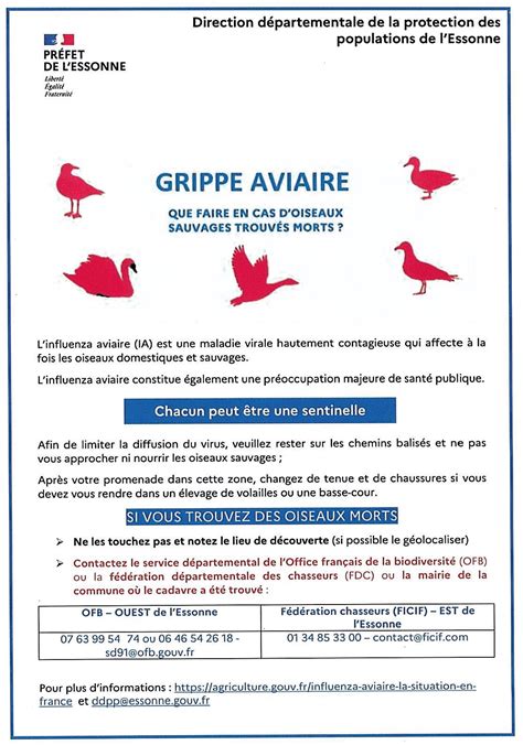 Abaissement Du Niveau De Risque Pour La Grippe Aviaire