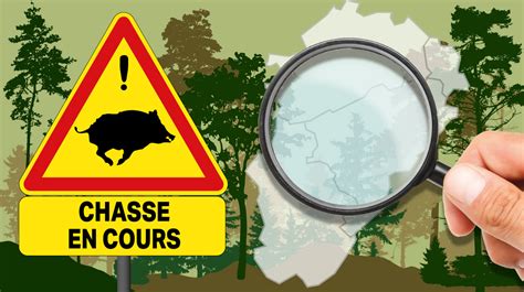 Carte Interactive Accidents De Chasse Depuis Cinq Ans Combien Y En