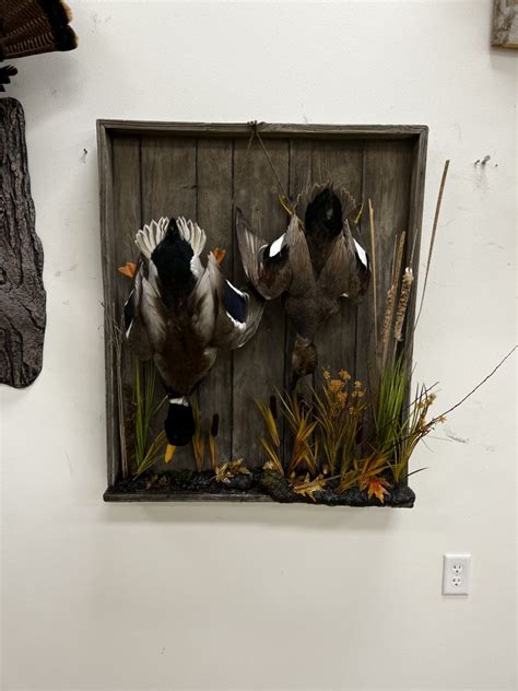 Water Sculpture And Scenes Stehlings Taxidermy