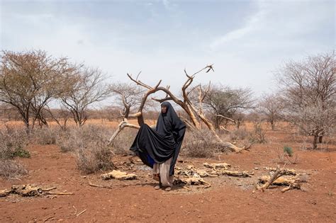 Life In Drought Affected Wajir Kenya Oxfam Canada