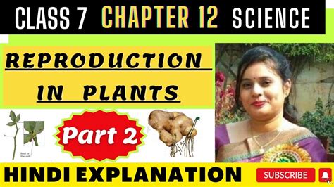 Class 7 Ch 12 Reproduction In Plants Part 2 Explanation हिन्दी