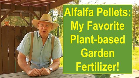 Alfalfa Pellets My Favorite Plant Based Slow Release Garden Fertilizer