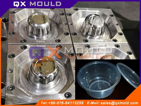 Multi Cavity Thin Wall Take Away Food Container Mold Qx Plastic Mould