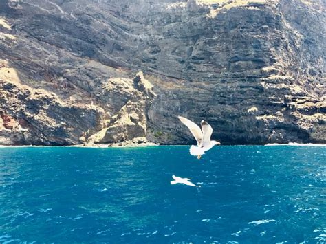 Tenerife Vis Tor Prin Lume