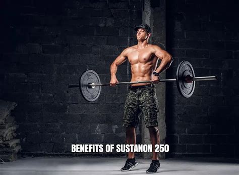 A Complete Sustanon 250 Analysis For Bodybuilders Steroids Cycles For