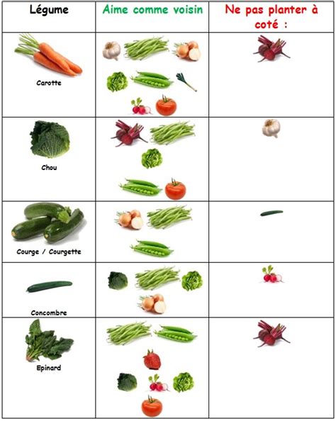 fresh neutral Sophisticated tableau association légumes potager pdf