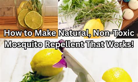 How To Make Homemade Non Toxic Mosquito Repellent That Works