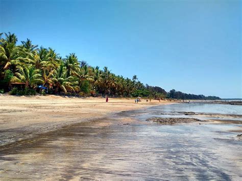 Kihim Beach, Alibag: How To Reach, Best Time & Tips