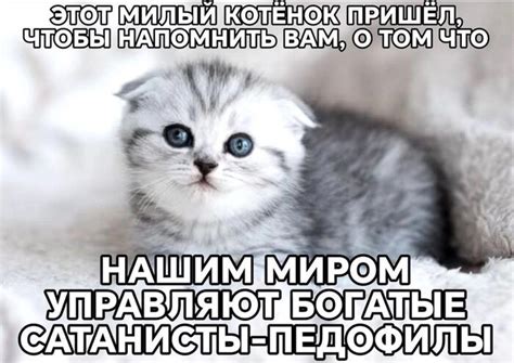Не забудь | Пикабу