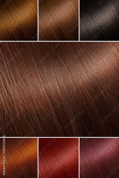 Color Chart For Tints Hair Color Palette With A Wide Range Of Swatches