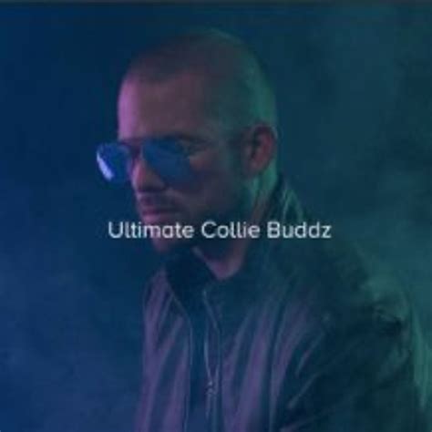 Stream Collie Buddz Listen To Ultimate Collie Buddz Playlist Online