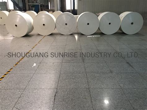 Food Grade Single Double Pe Coated Paper For Paper Cup Making China