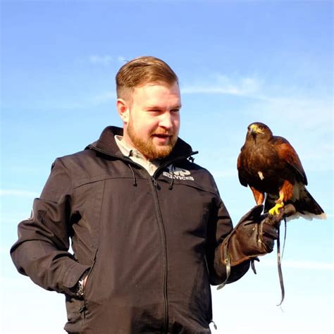 Pigeon Control London Falconry Bird Netting And Spikes