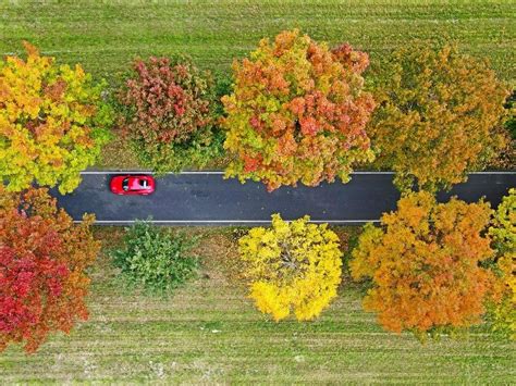 Stuhr 18 Jährige fährt frontal gegen Baum schwer verletzt