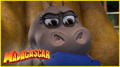 DreamWorks Madagascar en Español Latino Gloria ama el video juego