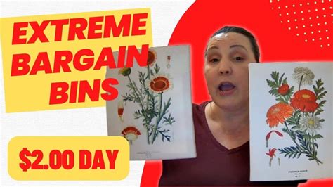 Extreme Bargain Bins Haul 2 00 Day And Friend Mail Youtube