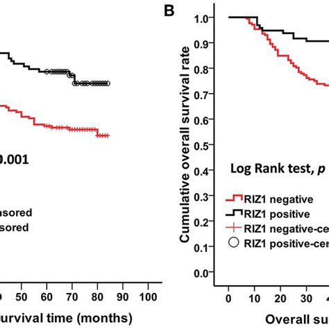 Low Riz Expression Predicted Shorter Overall Survival Os And