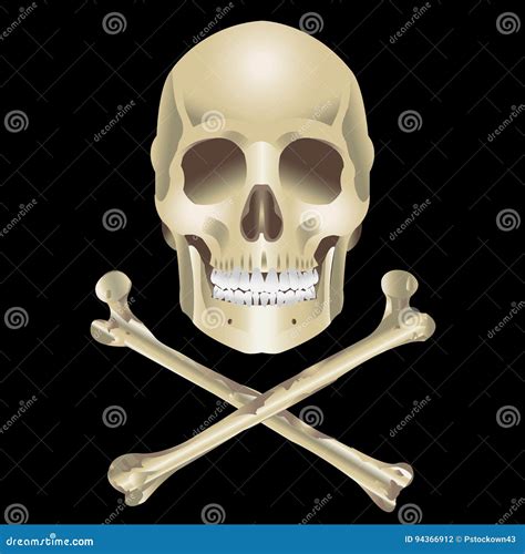 Human Skull And Crossbones Stock Vector Illustration Of Background