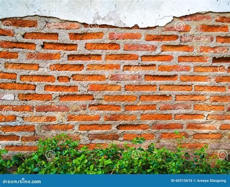 Cracked Concrete Showing Aged Brick Wall Stock Photo Image Of Brick