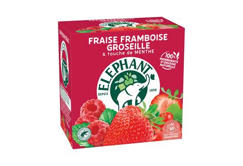 Infusions Fraise Framboise Groseille Elephant Sachets Pyramid