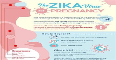 The Zika Virus And Pregnancy Infographic